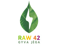 RAW 42