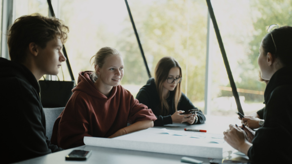 Nuotolinė paskaita apie studijas web